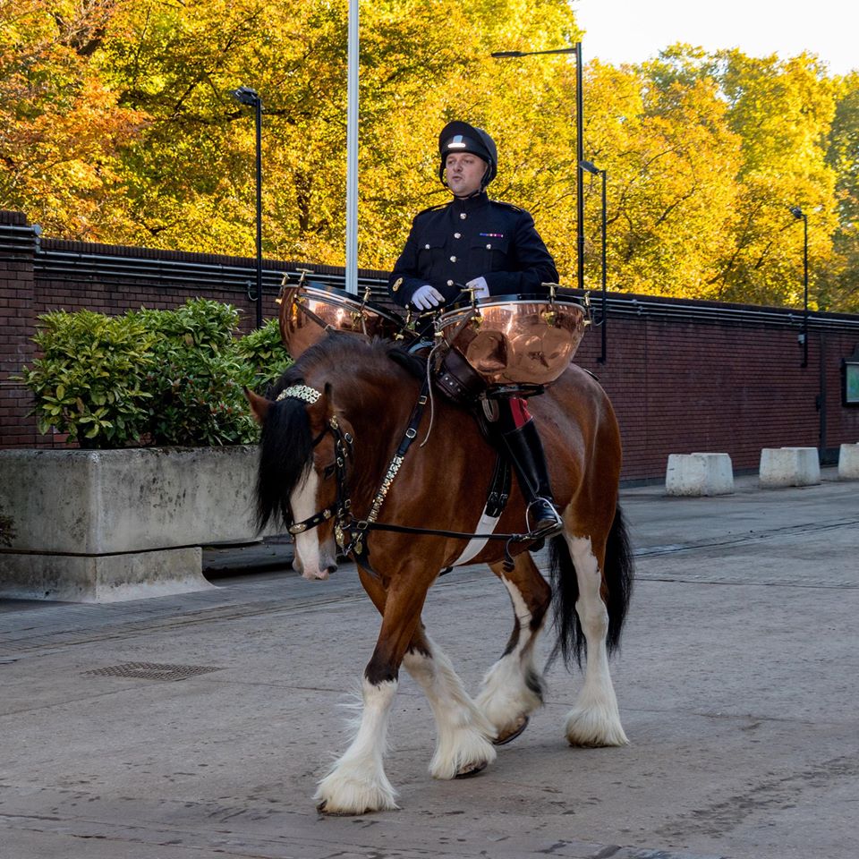 Household Cavalry